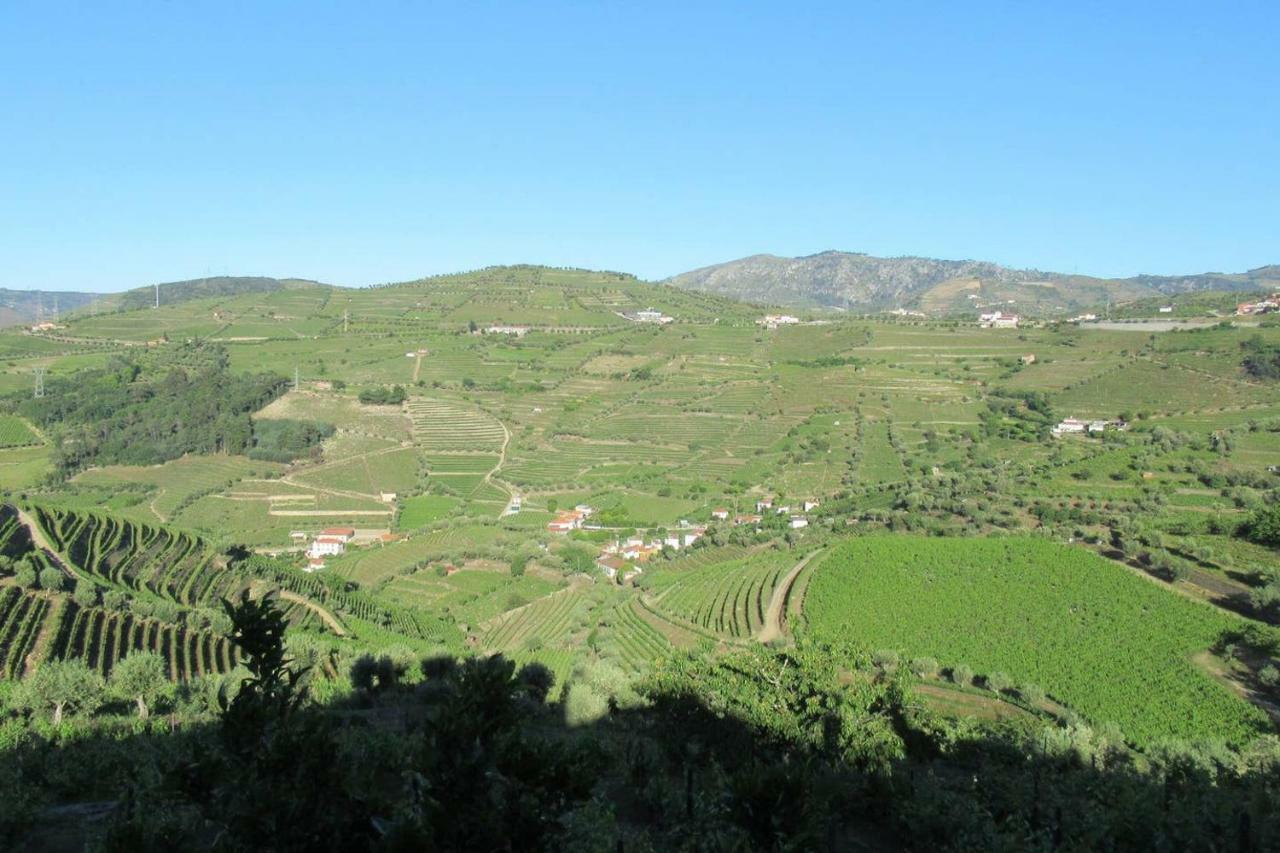 Quinta Das Murtinheiras Lamego Exterior foto
